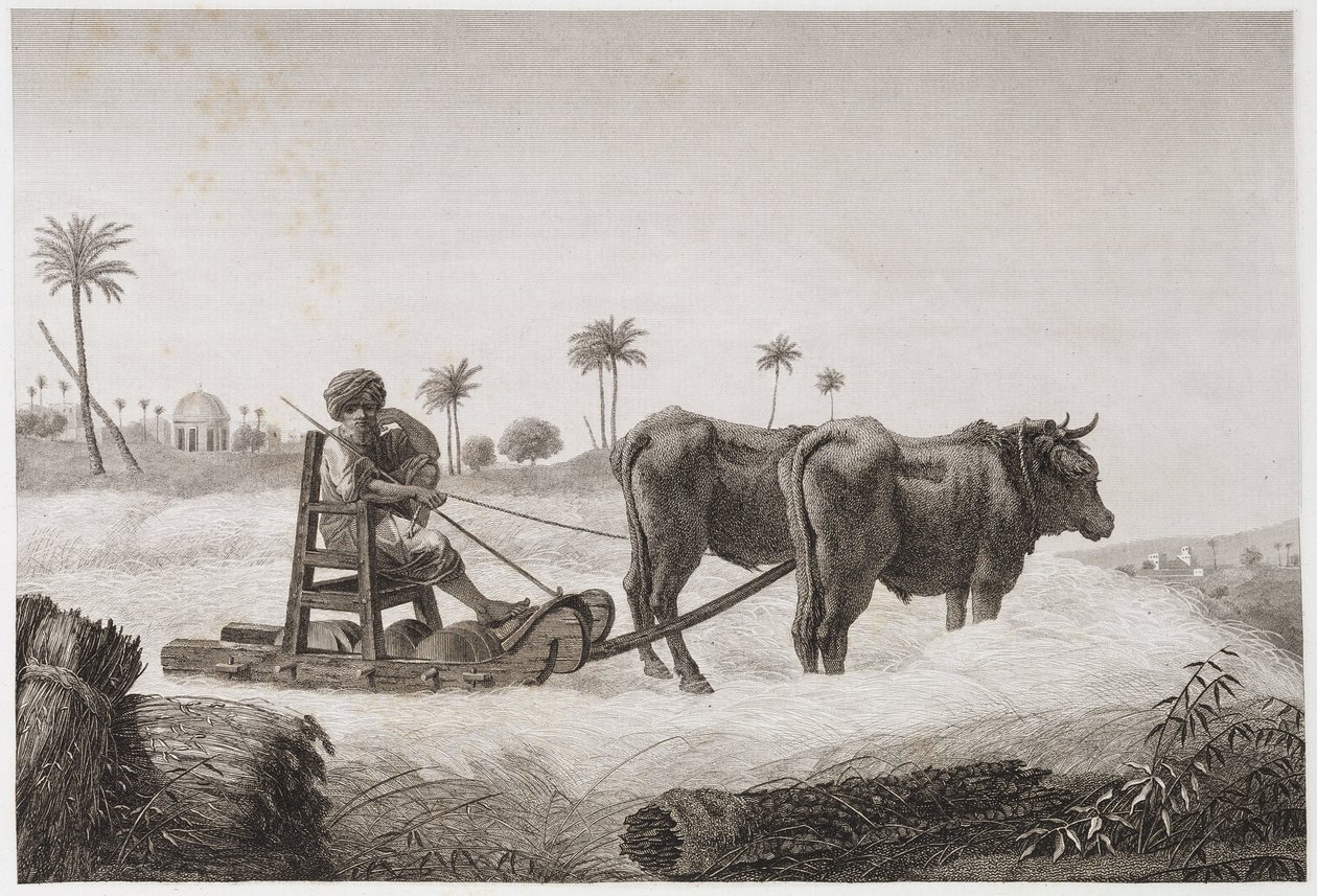 Akkerbouw, Oogsten Dorsmachine, Egypte, ca. 1798 door Unbekannt