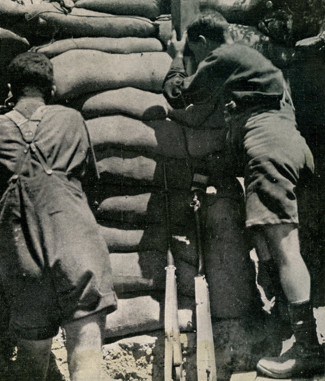 Britse troepen vechtend in kaki-drill shorts, Gallipoli-schiereiland door Unbekannt