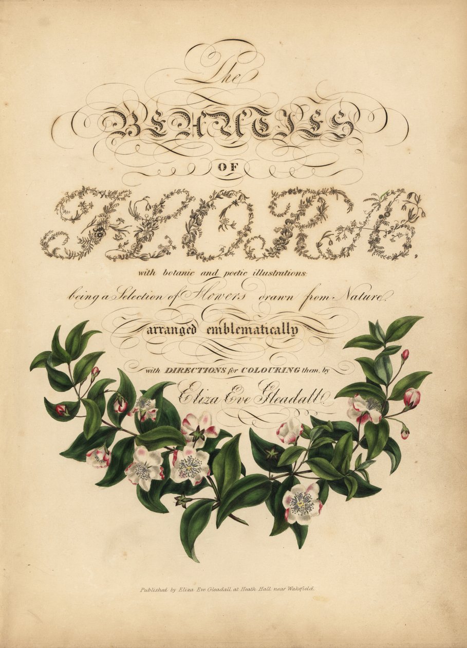 Kalligrafische titelpagina met botanische vignet door Unbekannt