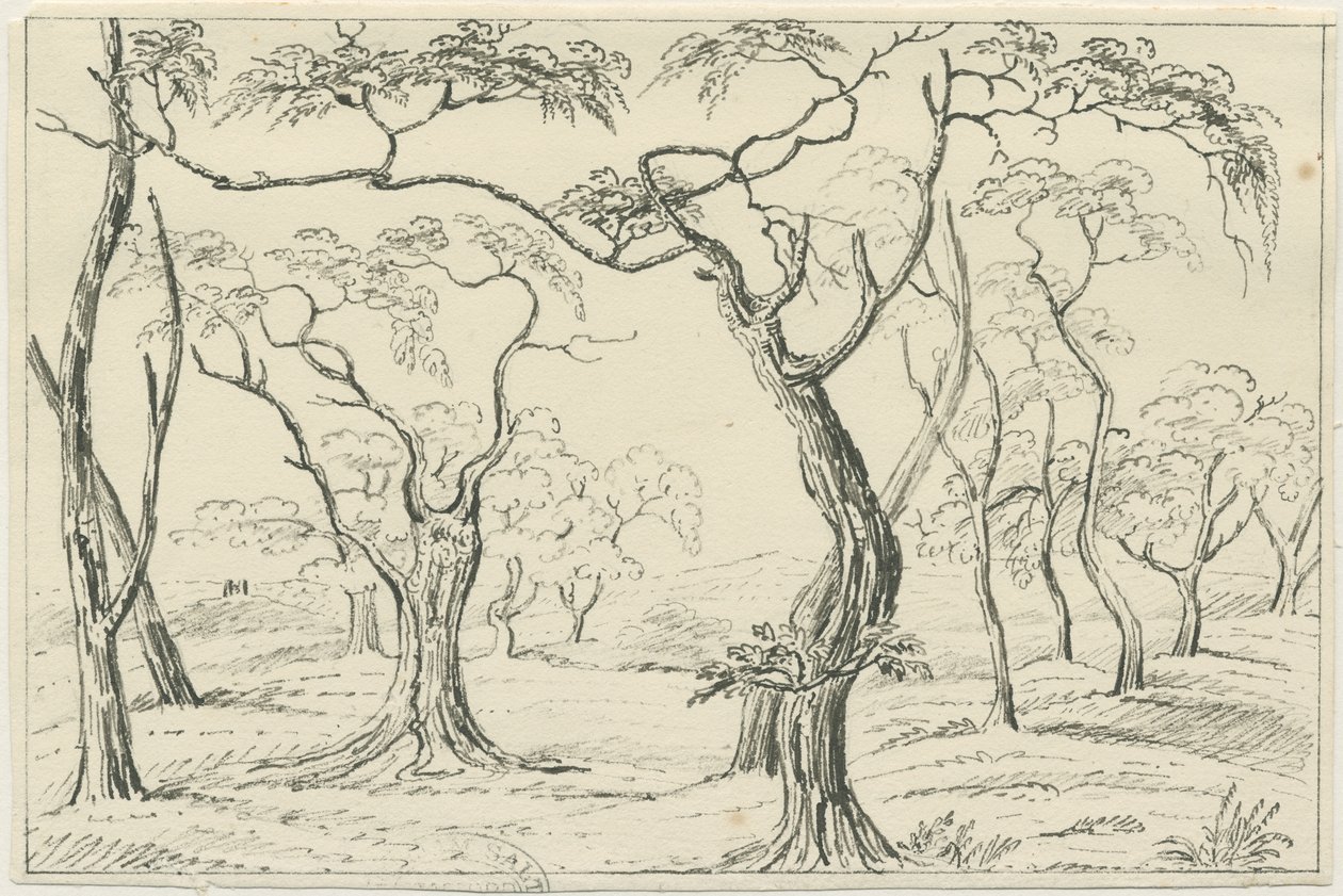 Cannock Chase door Unbekannt