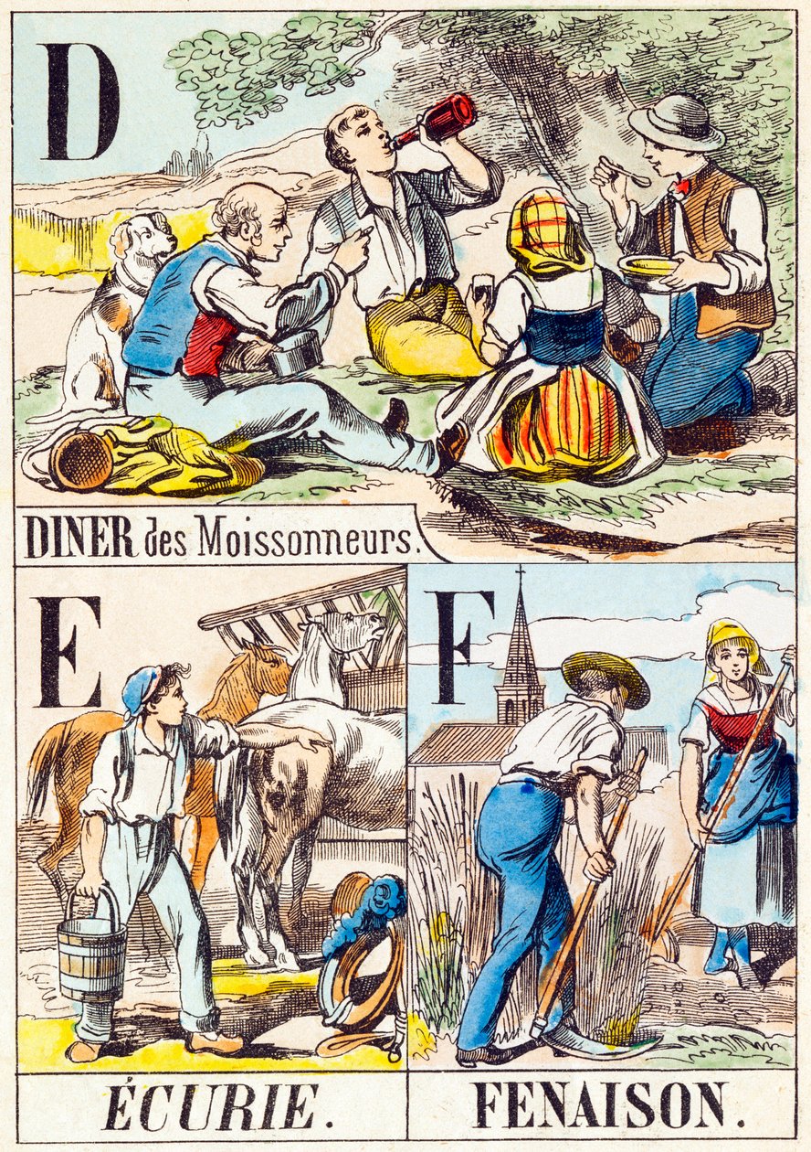 D E F : Diner van de maaiers, Stal, Hooien - "Alfabet van de boerderij" eind 19e eeuw (gravure) door Unbekannt