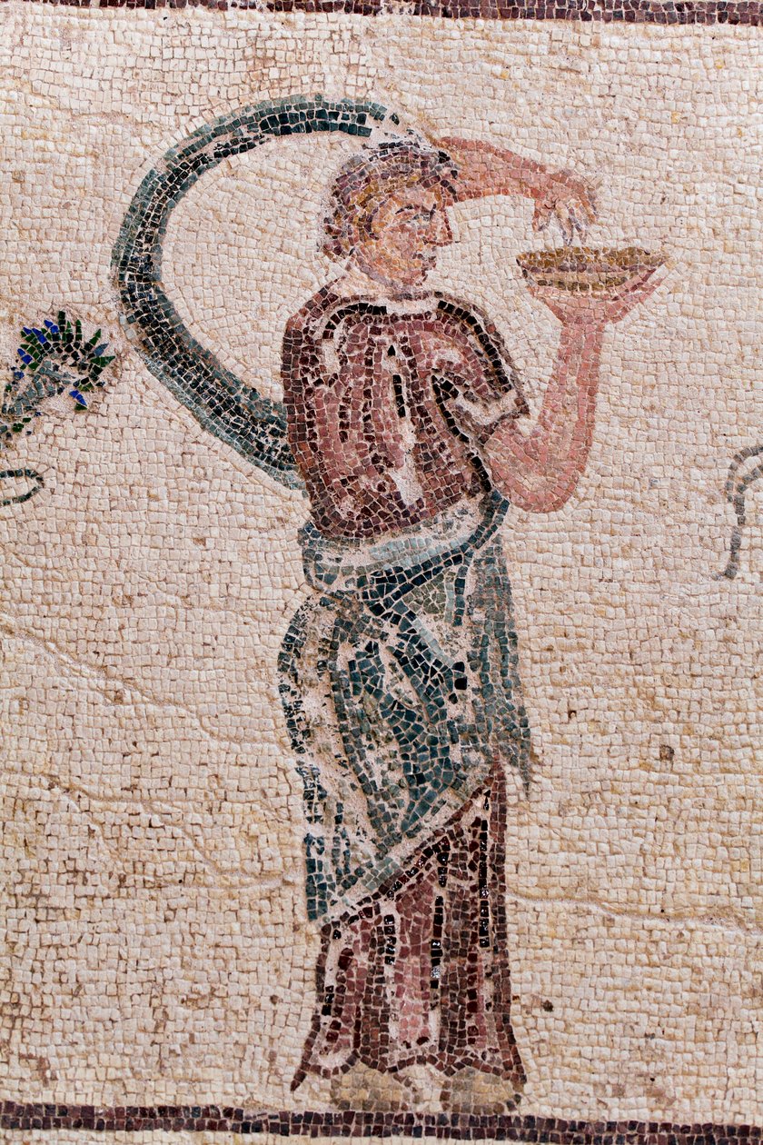Detail van De Triomf van Dionysos - Terugkeer van de god van een militaire expeditie naar India - Een Bacchante met een offerkom - Paphos mozaïeken, Huis van Dionysos, Eind 2e eeuw na Christus - Cyprus - De triomf van Dionysos - Lang mozaïek dat de tri door William M. Timlin