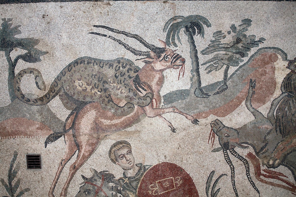 Detail van het mozaïek van de grote jacht. Een luipaard valt een gazelle aan. 3e - 4e eeuw. Romeinse Villa van de Casale, Sicilië. UNESCO-site. door William M. Timlin
