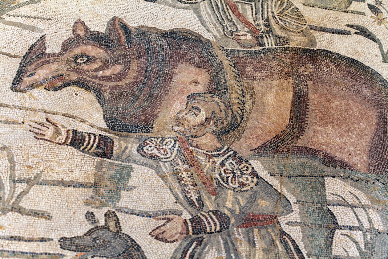 Detail van het mozaïek van de grote jacht. Een neushoorn wordt op een boot geleid om naar de dichtstbijzijnde haven te worden vervoerd. 3e - 4e eeuw. Romeinse Villa van de Casale, Sicilië. UNESCO-site. door William M. Timlin