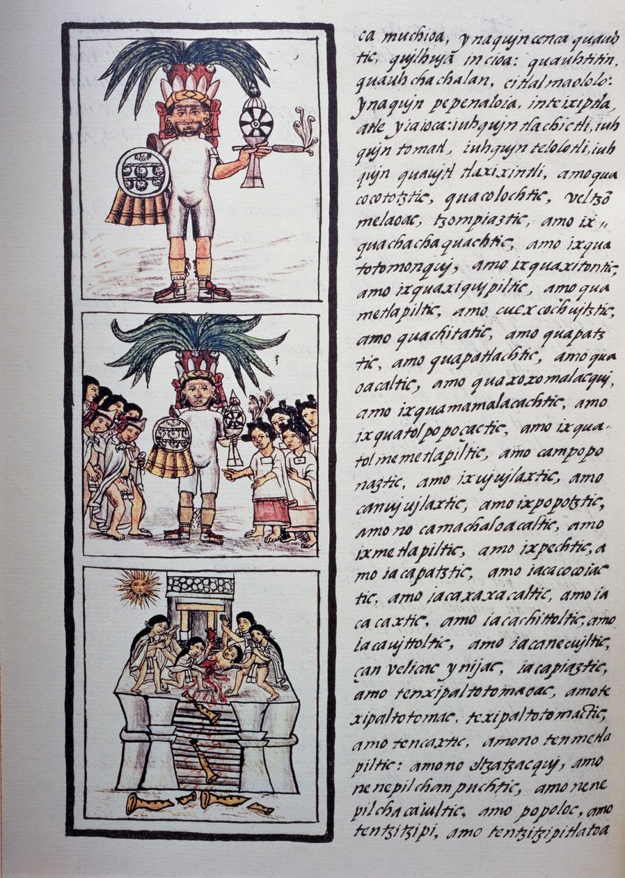 Festival van Toxcatl en zijn slachtoffer, Boek II van Florentijnse Codex, tweetalige versie in Spaans en Nahuatl, Algemene Geschiedenis van de Dingen van Nieuw-Spanje (Historia general de las cosas de Nueva Espana), Azteekse beschaving door Benjamin Baud