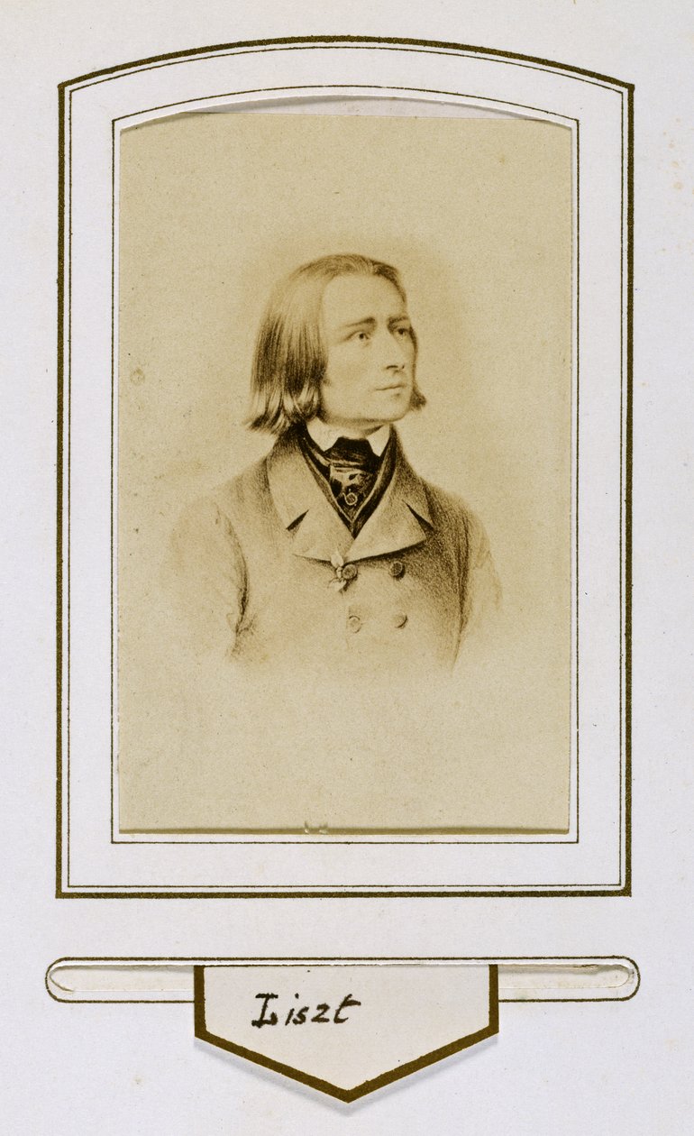 Franz Liszt als jongeman door Unbekannter Künstler