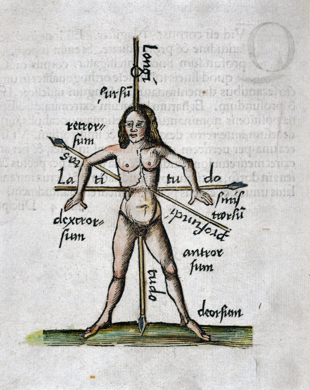 Geografie 16e eeuw: menselijke figuur die de lengtegraden en breedtegraden voorstelt, zijn lichaam wordt doorkruist door lansen gericht volgens de hoeken van de denkbeeldige lijnen door Unbekannt