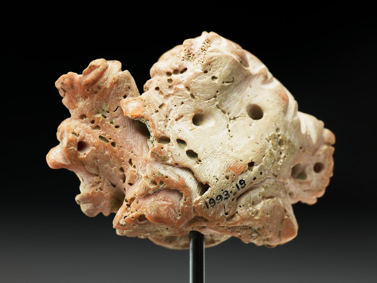 Hoofd van Medusa, uit Bactrië of Gandhara, 2e-1e eeuw v.Chr. door Unbekannt