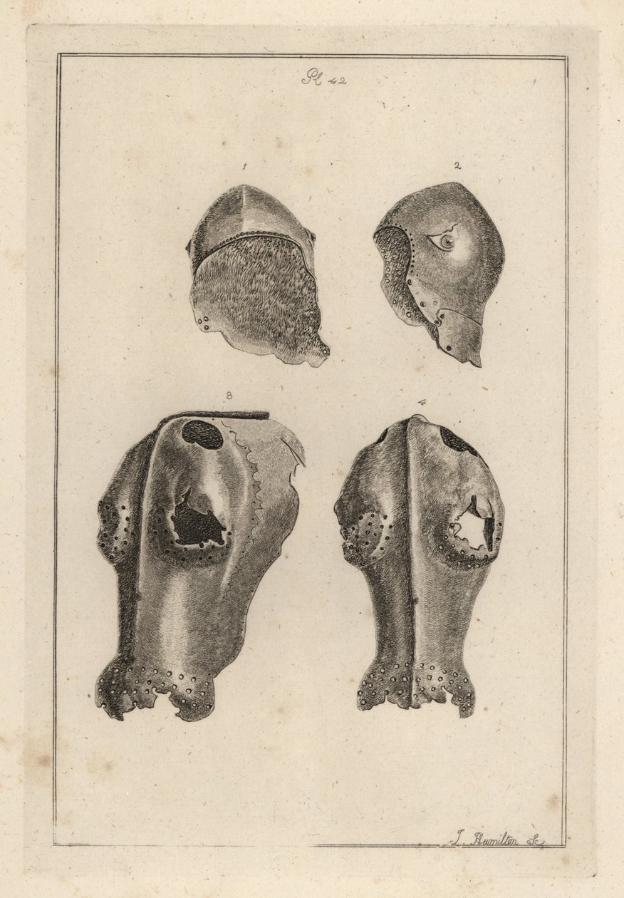 Helm 1,2, en ijzeren chanfron of chafron 3,4 die toebehoorden aan Guy, Graaf van Warwick door Unbekannt