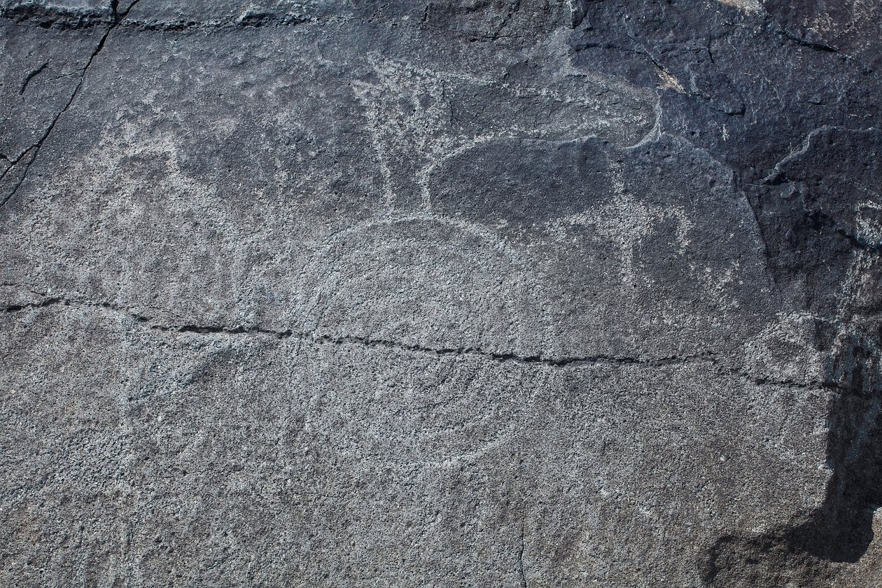 Indiase Petroglyfen - Dier- en symbolische representatie - Petroglyph National Monument - Albuquerque, New Mexico, VS door William M. Timlin