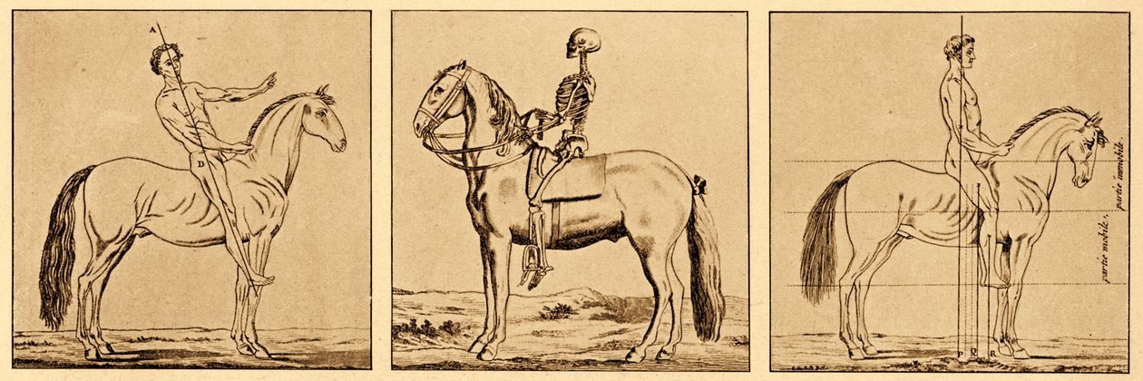 Instructies over de houding te paard door Unbekannter Künstler
