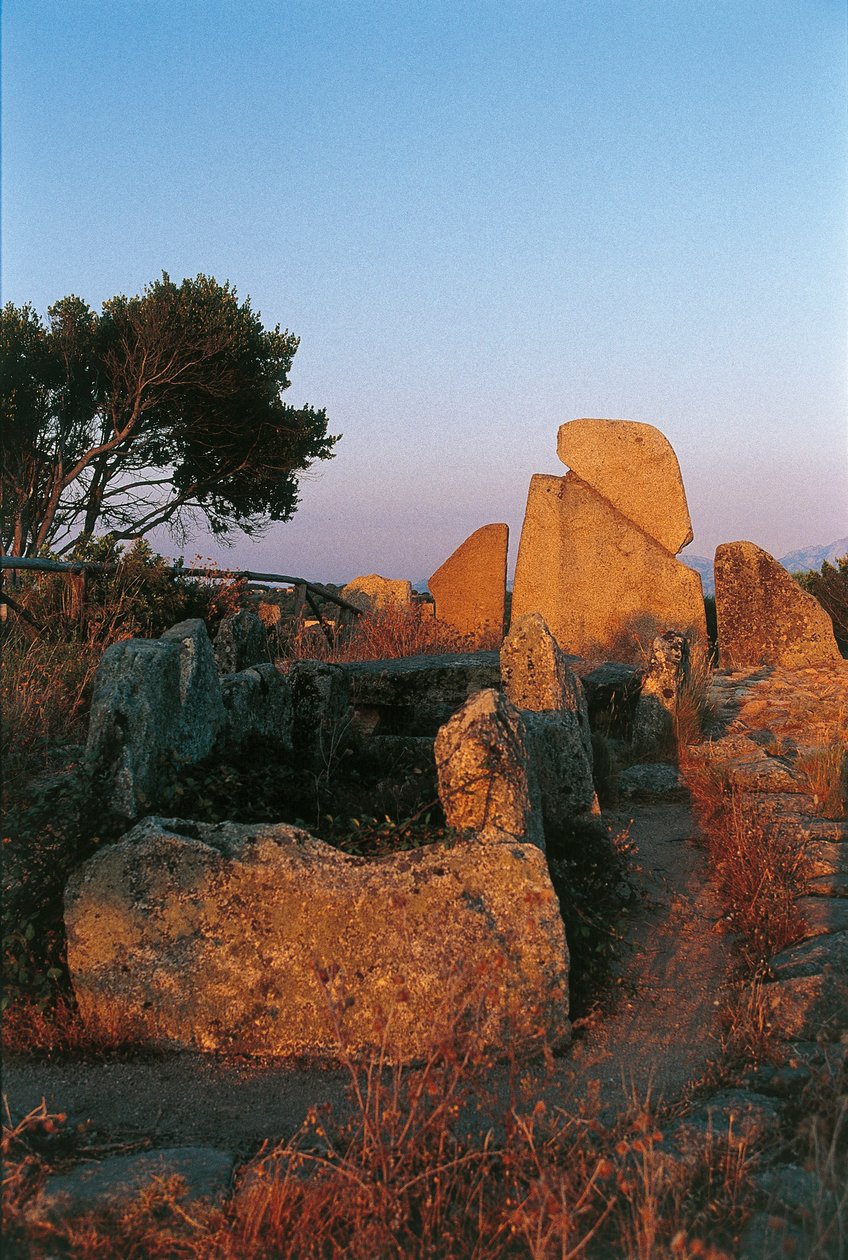 Italië, Sardinië, Arzachena, provincie Olbia-Tempio, Li Longhi reuzengraf, achteraanzicht door Nicolas d