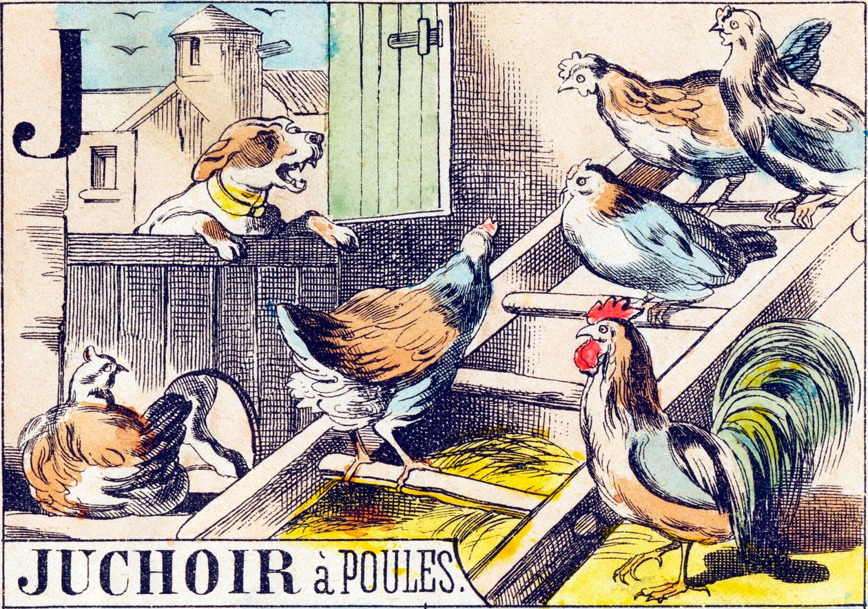 J Juchoir a poules - "Alfabet van de boerderij" eind 19e eeuw door Unbekannt