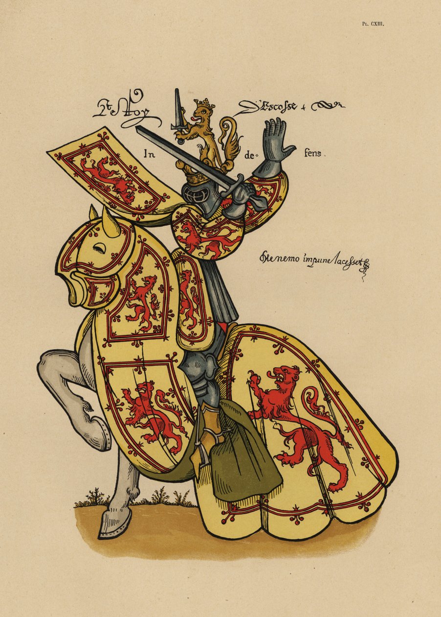 Koning van Schotland, roi des Ecossais, met leeuw in opgerichte houding standaard en helm door John Pardon