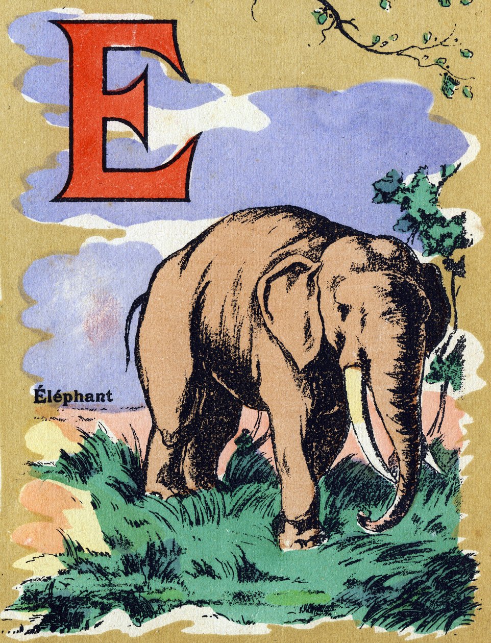 Letter E zoals een olifant. Geïllustreerd alfabet. Beelden verzameld in Jarville-Nancy, begin 20e eeuw. door Unbekannt