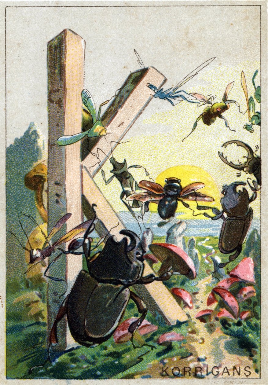 Letter K zoals Korrigans. Artistiek alfabet van Mr. Marinier. Uitgegeven door Henry Sicard, eind 19e eeuw. Reclamechromolithografieën voor producten verkocht in apotheken. door Unbekannt