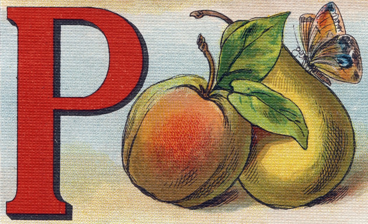 Letter P als perzik, peer en vlinder. Gravure in "Alphabet de ma petite fille". Bernardin-Bechet en Fils, boekverkopers-uitgevers, Parijs, rond 1895. Onbreekbaar album op canvas. Bibliotheque des Bebes. 12 pagina