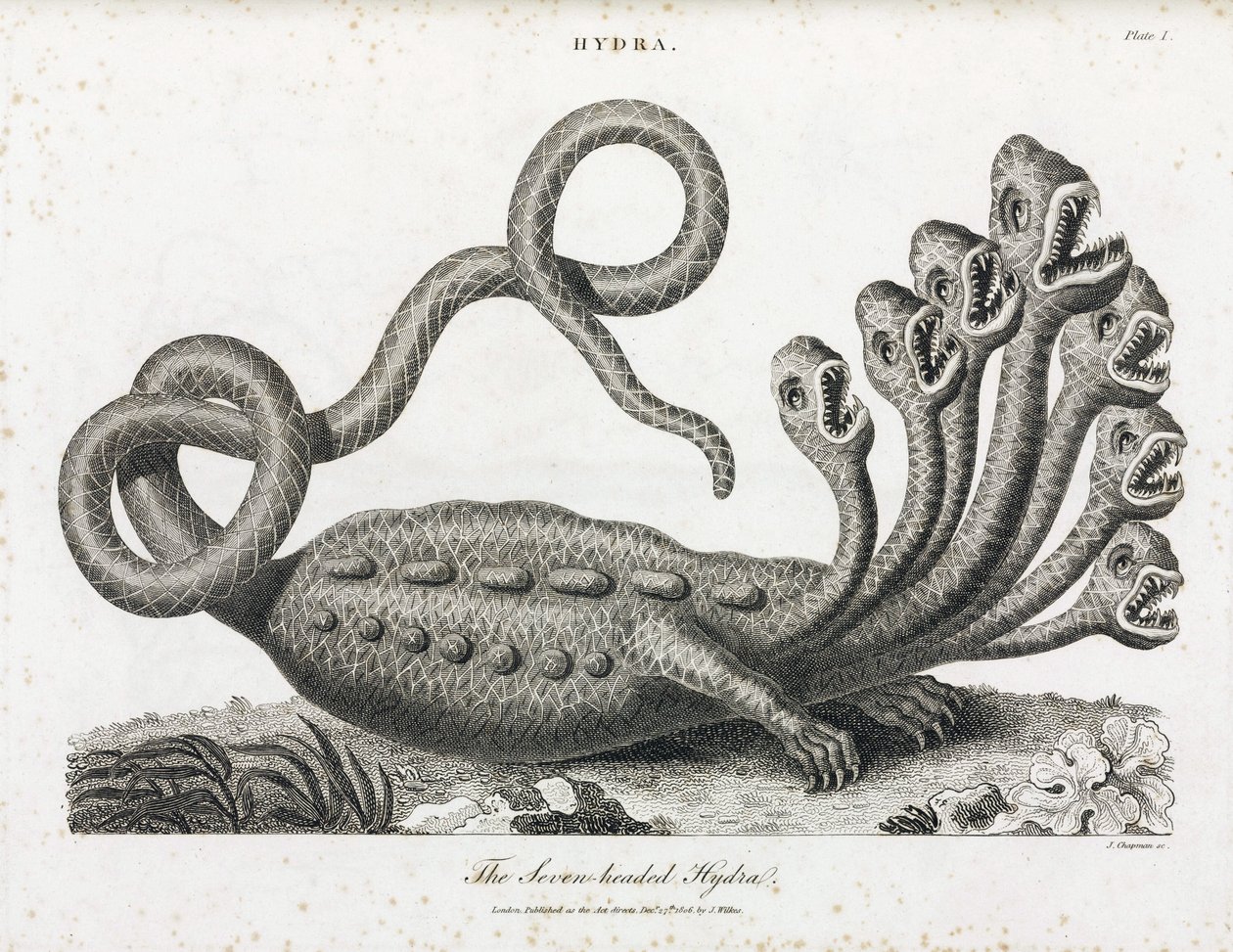 De zevenkoppige hydra door Unbekannt