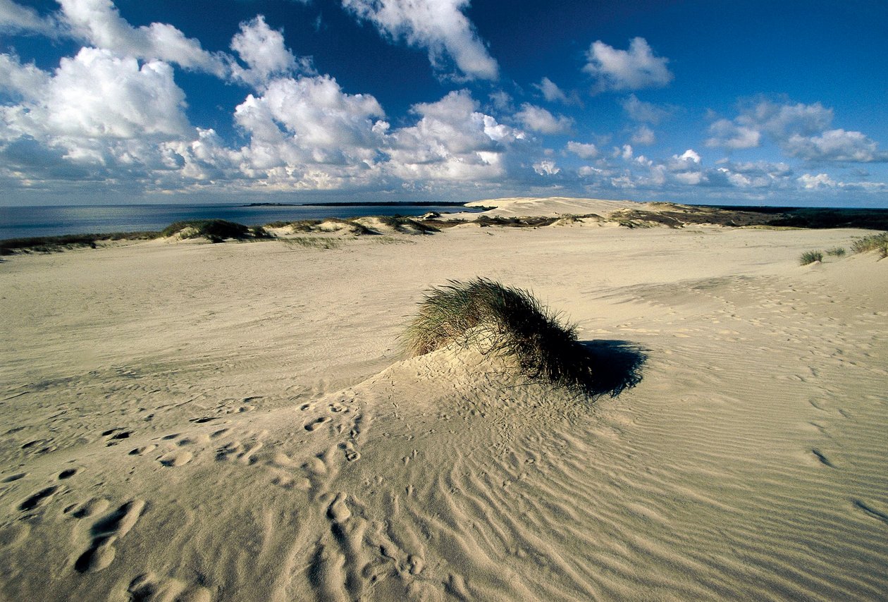 Zandduinen genaamd Pruisische Sahara, Nida, Koerse Schoorwal, Litouwen door William M. Timlin