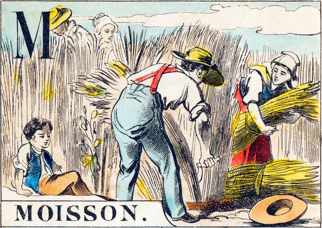 M Oogst - "Alfabet van de boerderij" eind 19e eeuw (gravure) door Unbekannt