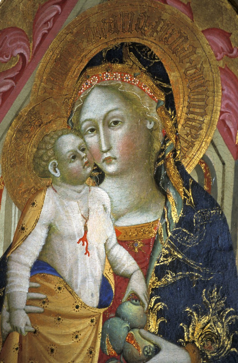 Madonna en kind, Francesco di Gentile, 14e eeuw, Piersanti museum, Matelica, Marche, Italië door Unbekannt