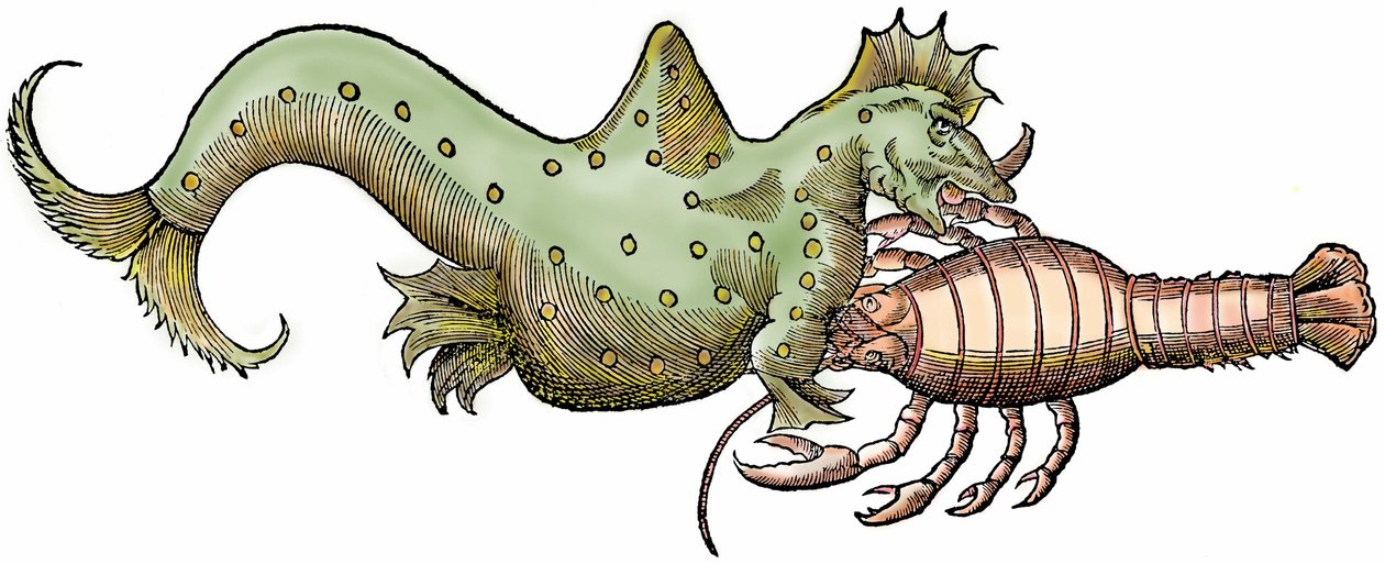 Mariene draak en gigantische kreeft, xylografie uit 