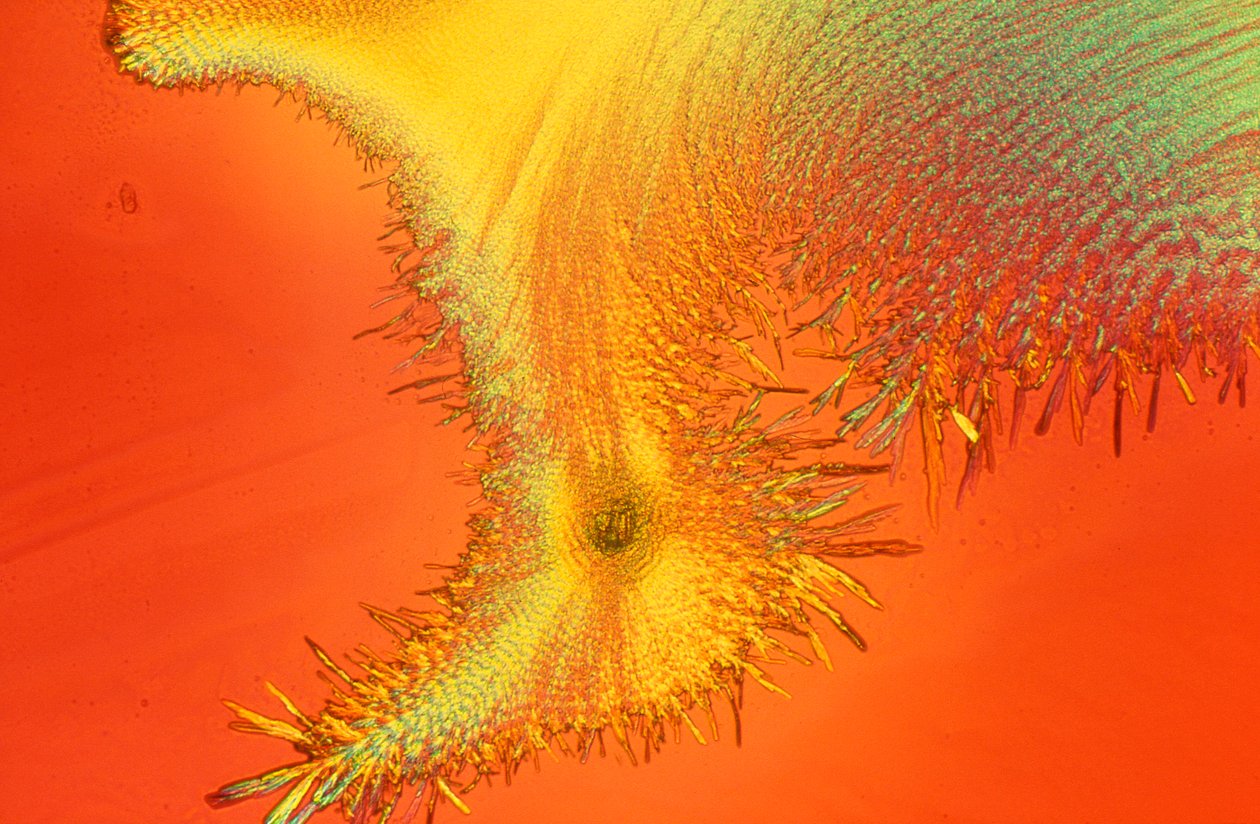 Micrografieën (Licht) Natriumsilicaat, licht micrografie door Unbekannter Künstler