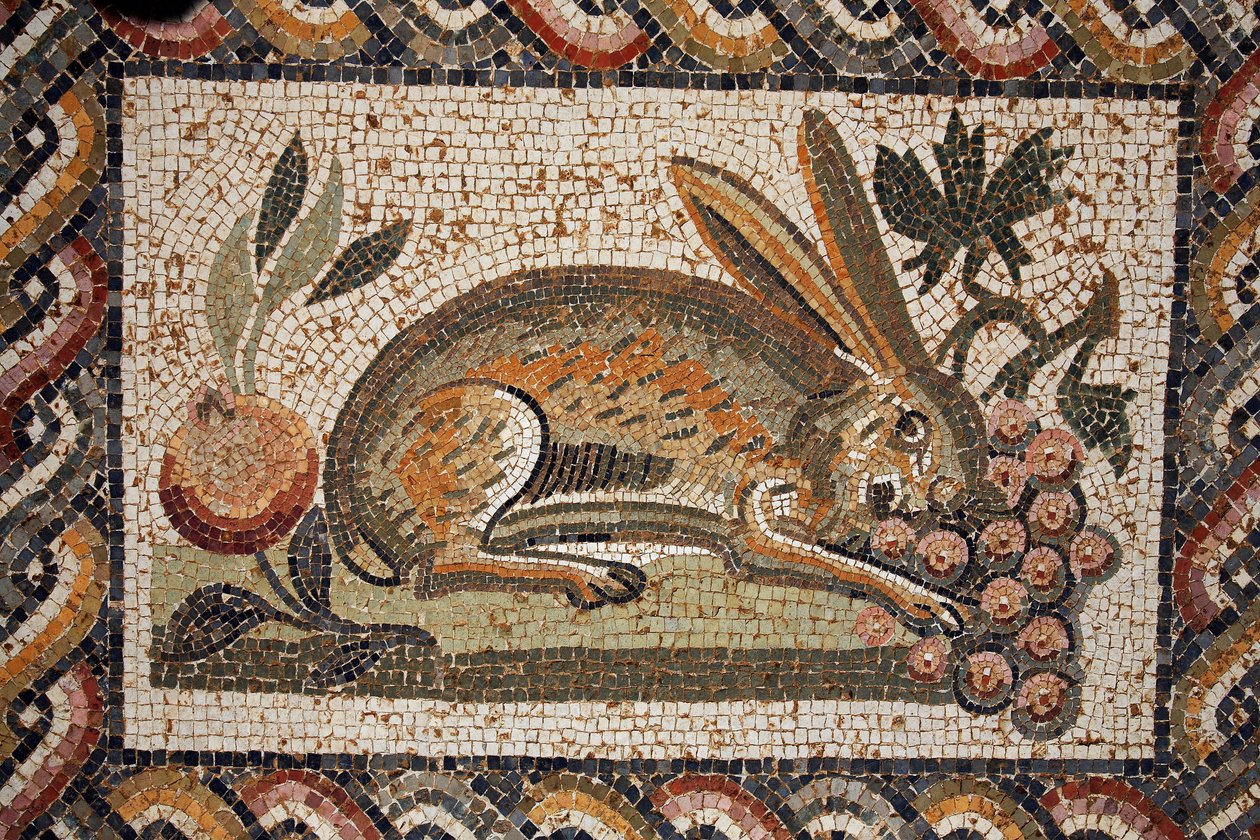 Mozaïek die een haas met een spiedende blik toont die een tros druiven graast (2e helft van de 2e eeuw n.Chr.)/in situ in El Jem (Antiek Thysdrus)/Tunesië door Unbekannt