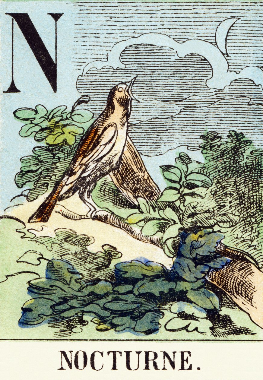 N: Nocturne - Het Jachtalfabet, ca. 1890 (gravure) door Unbekannt