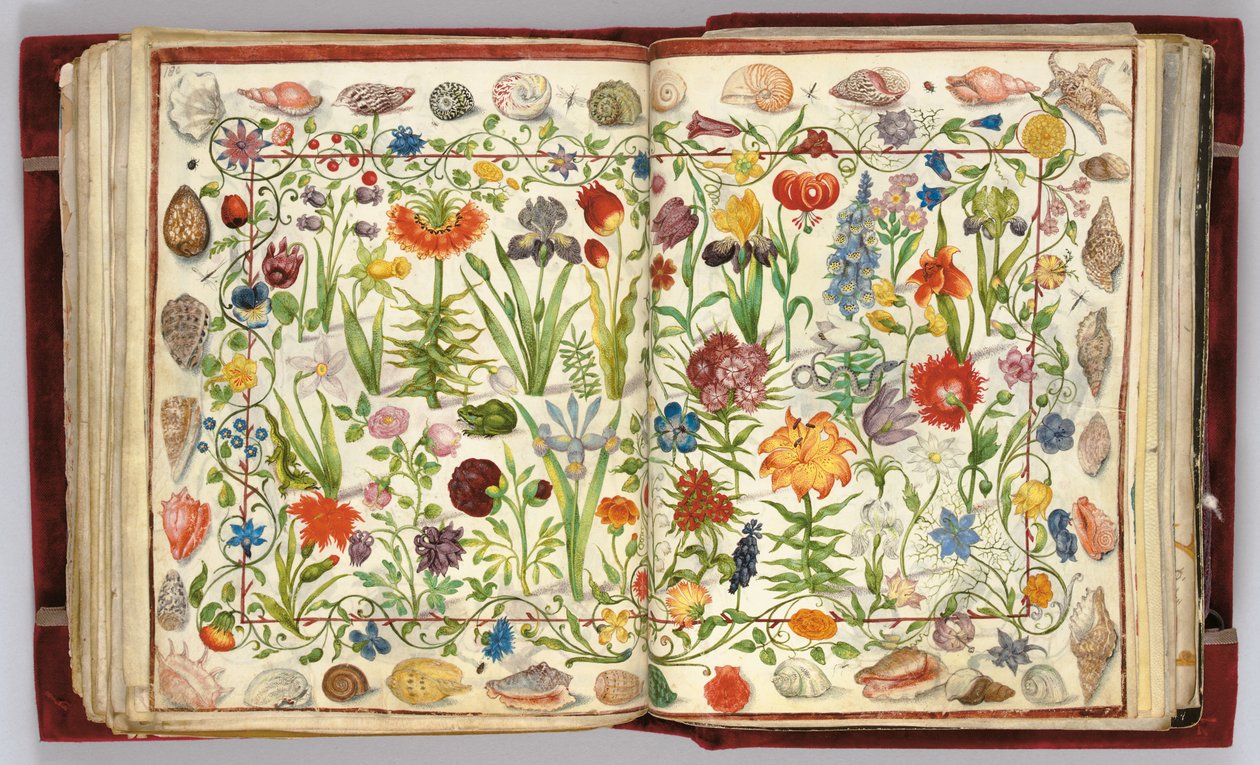 Pagina