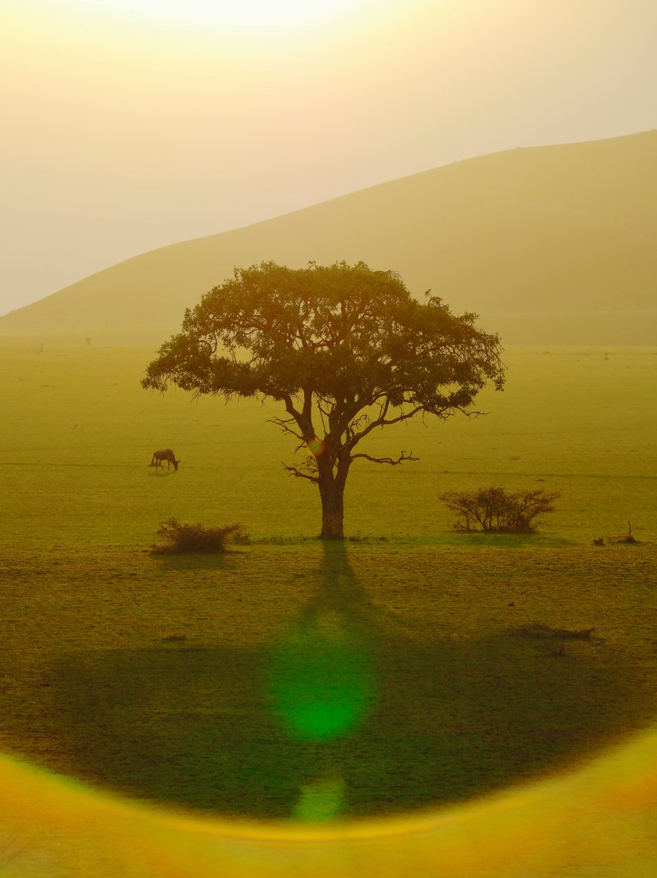 Paradijs na de regen, Chyulu Hills door Unbekannter Künstler