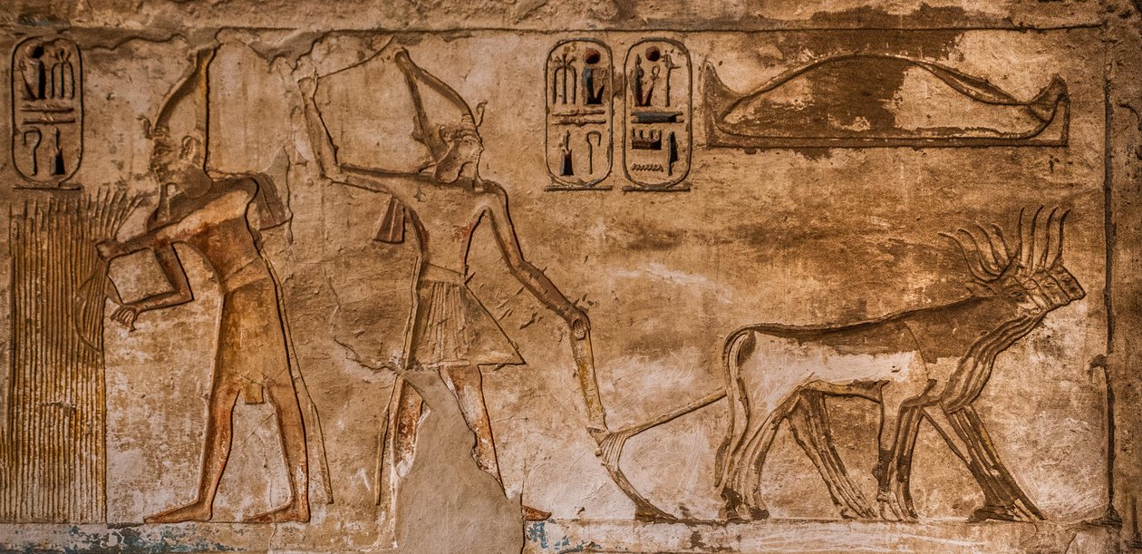 Reliëf met vurige scènes op de noordoostelijke muur van kamer 26, Medinet Habu, dodentempel van Ramses III, Luxor, Thebe-West, Egypte, Afrika door Unbekannter Künstler