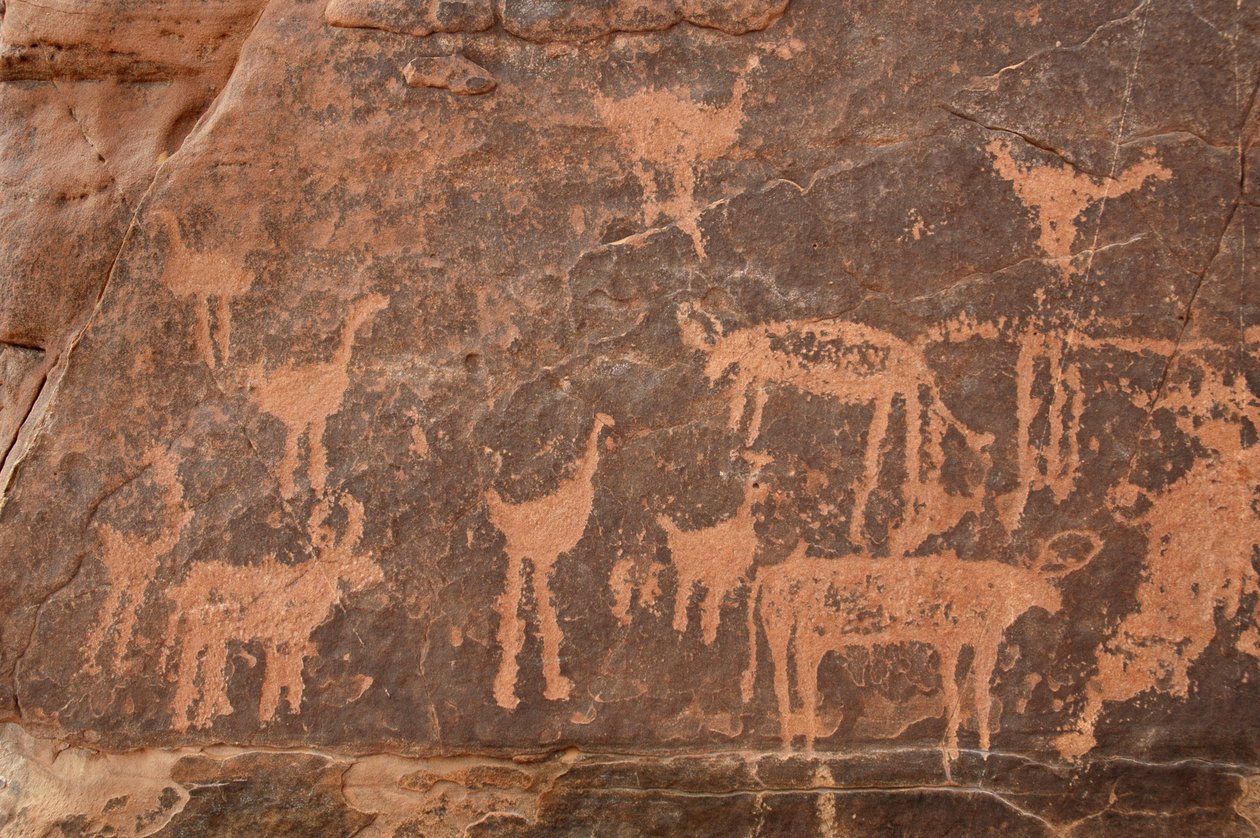 Rotstekeningen, Prehistorie: Detail van een gravure van een set struisvogels en vee in het Uweinat-massief, Egypte (Periode van 8000 tot 3000 jaar v.Chr.). Fotografie door Unbekannt