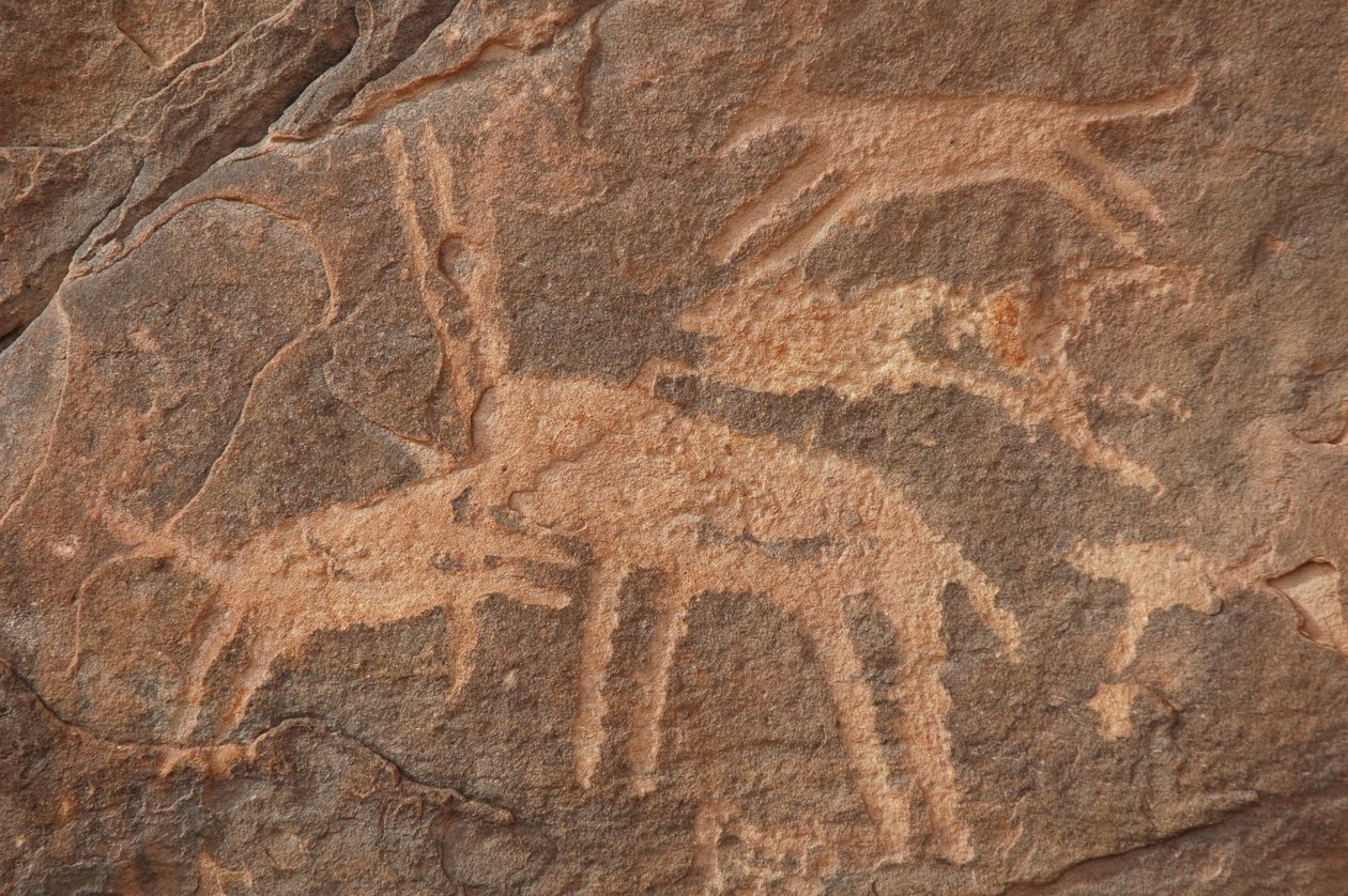 Rotstekeningen, Prehistorie: Gravure van een antilope aangevallen door een roedel honden in het Uweinat-massief, Egypte (Periode van 8000 tot 3000 jaar v.Chr.). Fotografie door Unbekannt
