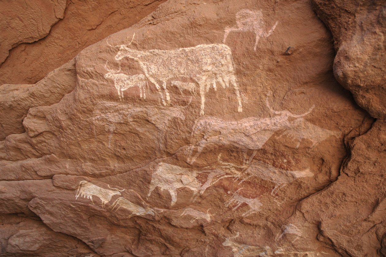 Rotstekeningen, Prehistorie: Rotsschildering van een groep vee in een versierde schuilplaats, in het Uweinat-massief, Soedan (Karkur-Talh of Karkur Talh). Periode van 8000 tot 3000 jaar v.Chr. Fotografie door Unbekannt