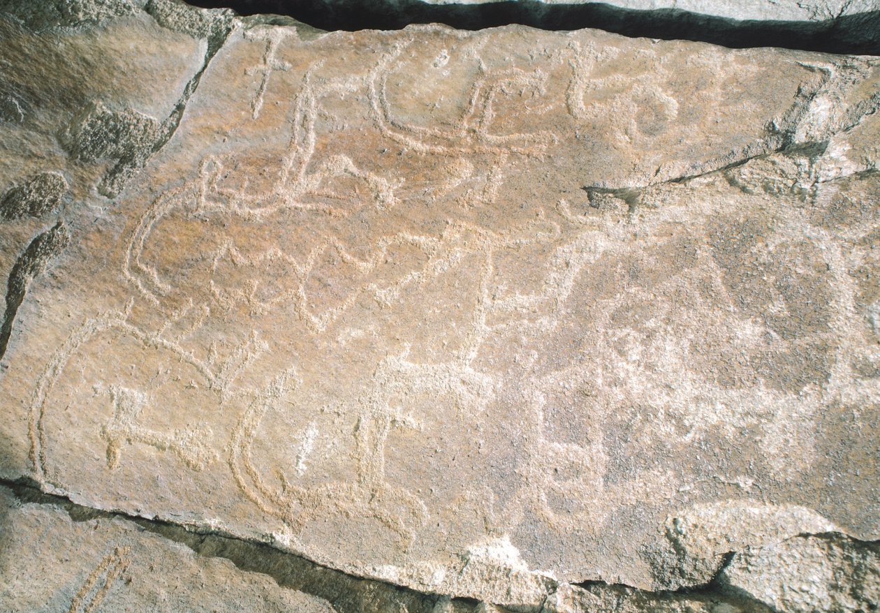 Rotstekeningen in de Hunza-vallei, nabij het archeologische gebied Karimabad, Pakistan door William M. Timlin