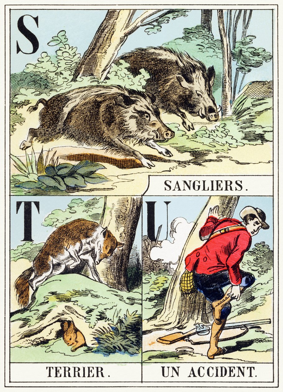 S T U: Everzwijn, Terrier, Een ongeluk - Het Jachtalfabet, ca. 1890 (gravure) door Unbekannt