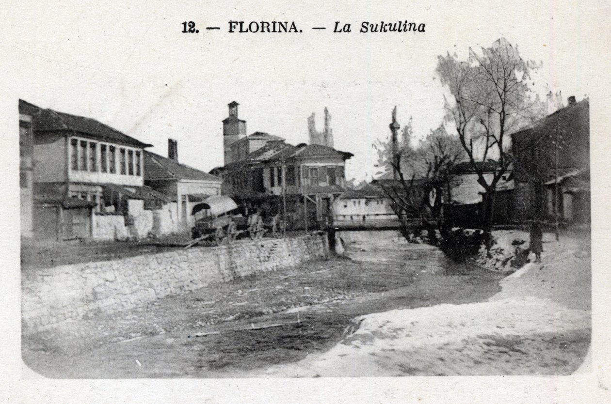 Servië, Florina (hedendaags Griekenland): uitzicht op de Sukulina - Ansichtkaart 1914-1918 door William M. Timlin