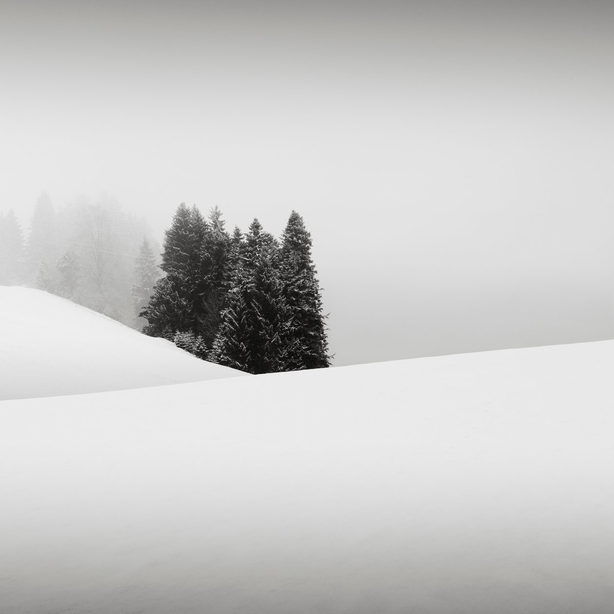 Sneeuwverhalen Oasis, Beieren, Duitsland, 2013 door Leopold Blonder