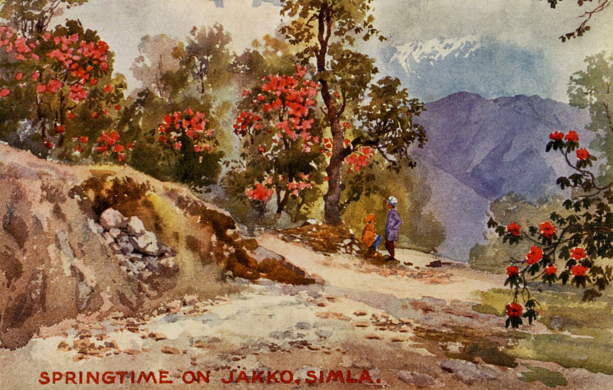 Lente op Jahko, Simla, India door Unbekannter Künstler