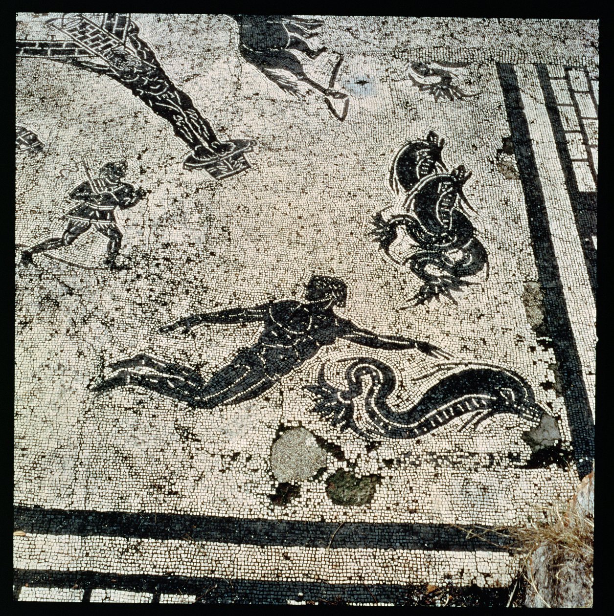 Zwemmen met de Dolfijnen, uit het Frigidarium van de Baden in Ostia, 2e Eeuw na Christus door Unknown