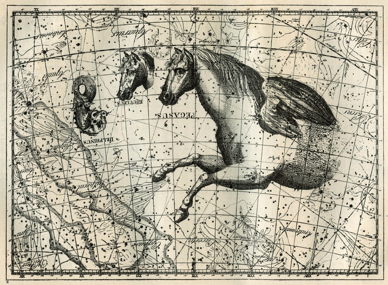 Het sterrenbeeld Pegasus, getekend als de voorste helft van een paard met een paar vleugels, het Kleine Paard, een paardenhoofd, en de Dolfijn. Gravure uit 