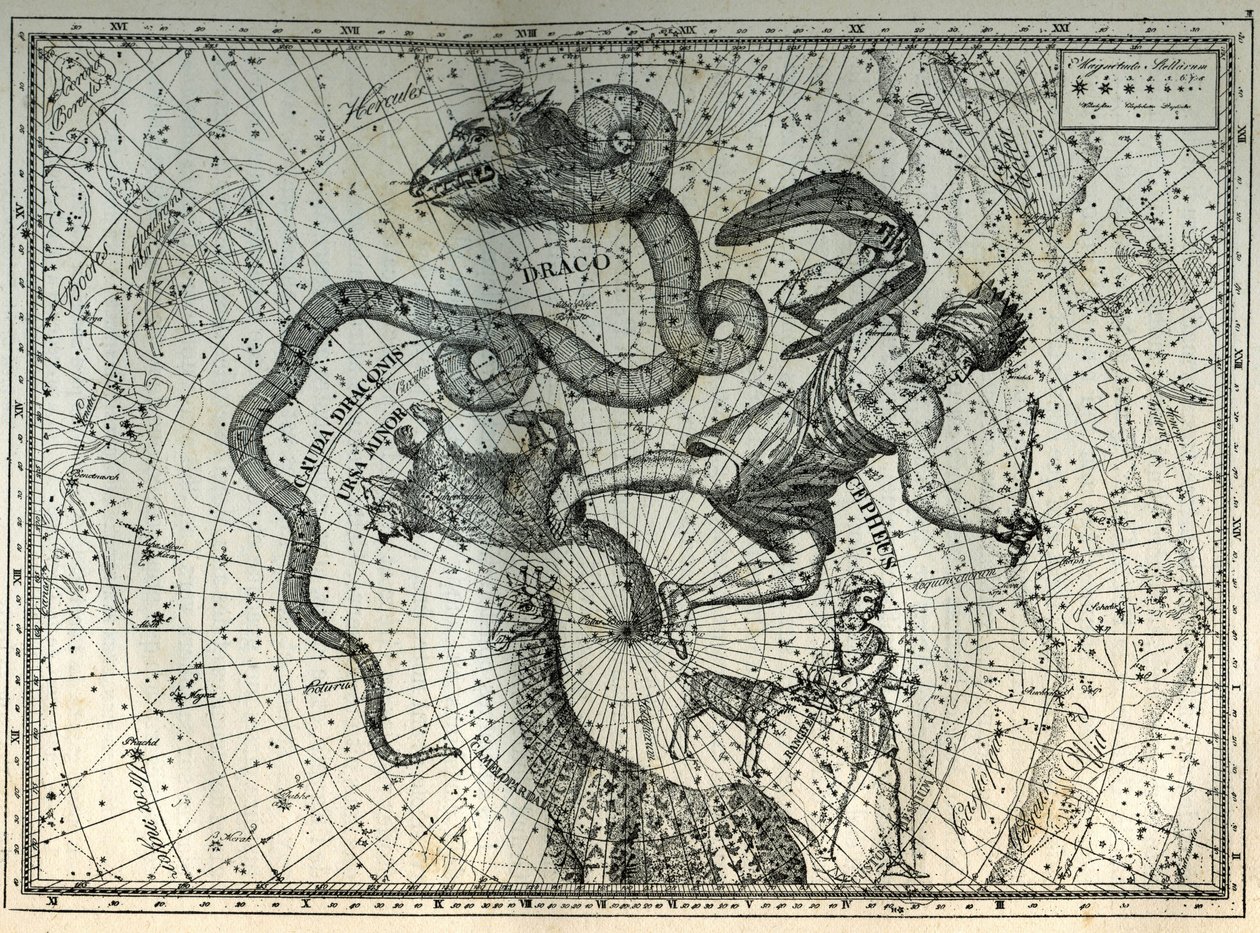 De nabije sterrenbeelden van de Noordpool: Kleine Beer, Draak, Cepheus, Giraffe, Rendier en Messier. Gravure uit Camille Flammarion