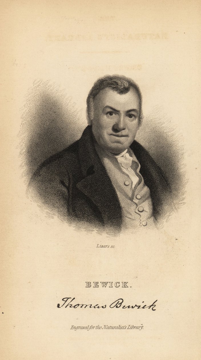 Thomas Bewick, Engelse graveur en natuurhistorische auteur door Unbekannt