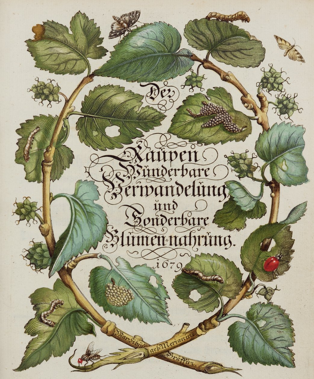 Titelpagina uit natuurhistorisch boek door Alec Hunter