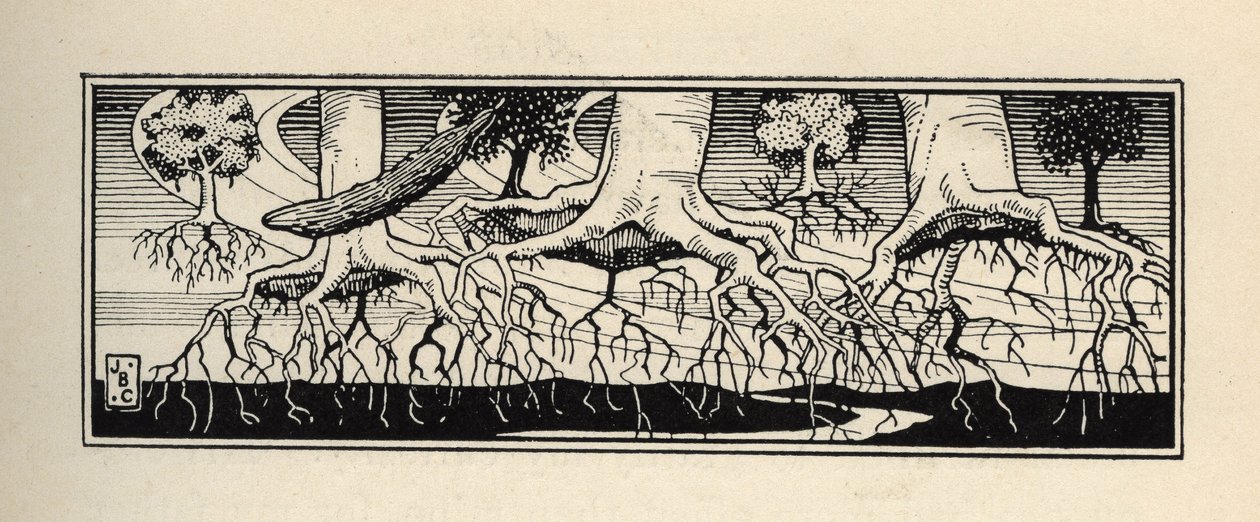 Bomen ontworteld door een storm planten hun wortels opnieuw op de exacte locatie waar ze waren. Illustratie door William Strang (1859-1921) en JB Clark uit 
