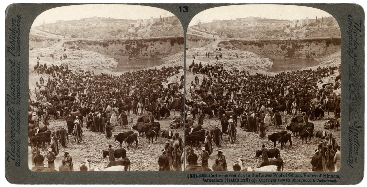 Veemarkt dag, in de onderste poel van Gihon, Vallei van Hinnom, Jeruzalem, Palestina, 1900 door Underwood and Underwood
