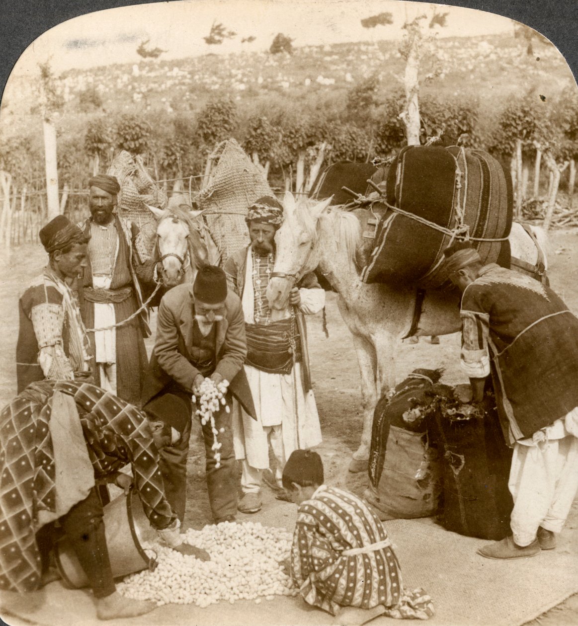 Experts die zijdecocons kopen, voor export naar Frankrijk, Antiochië, Syrië, 1900s door Underwood and Underwood