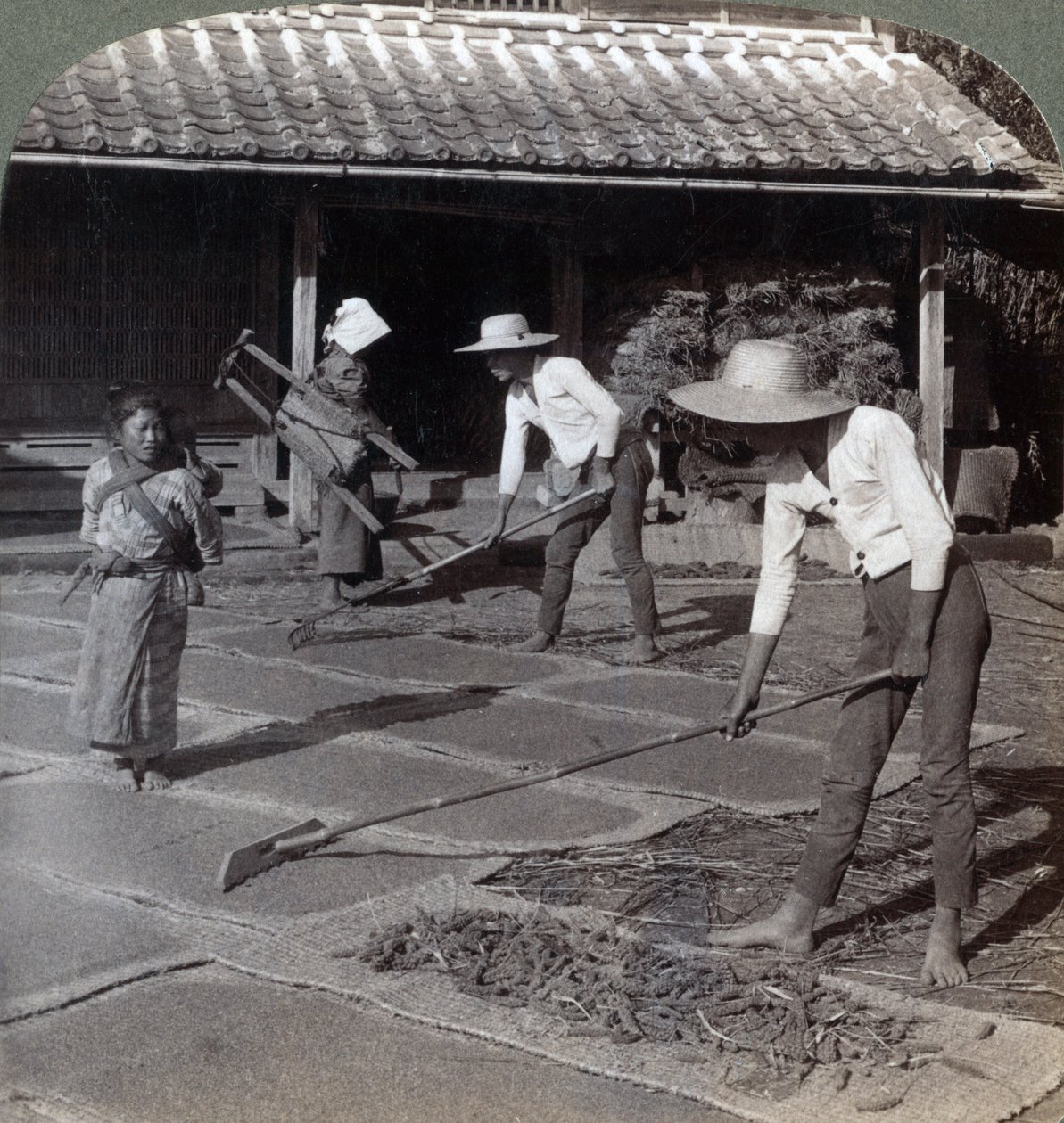 Boeren met bamboeharken die gierst op matten verspreiden om te drogen voor de winter, nabij Yokohama, Japan, 1904 door Underwood and Underwood
