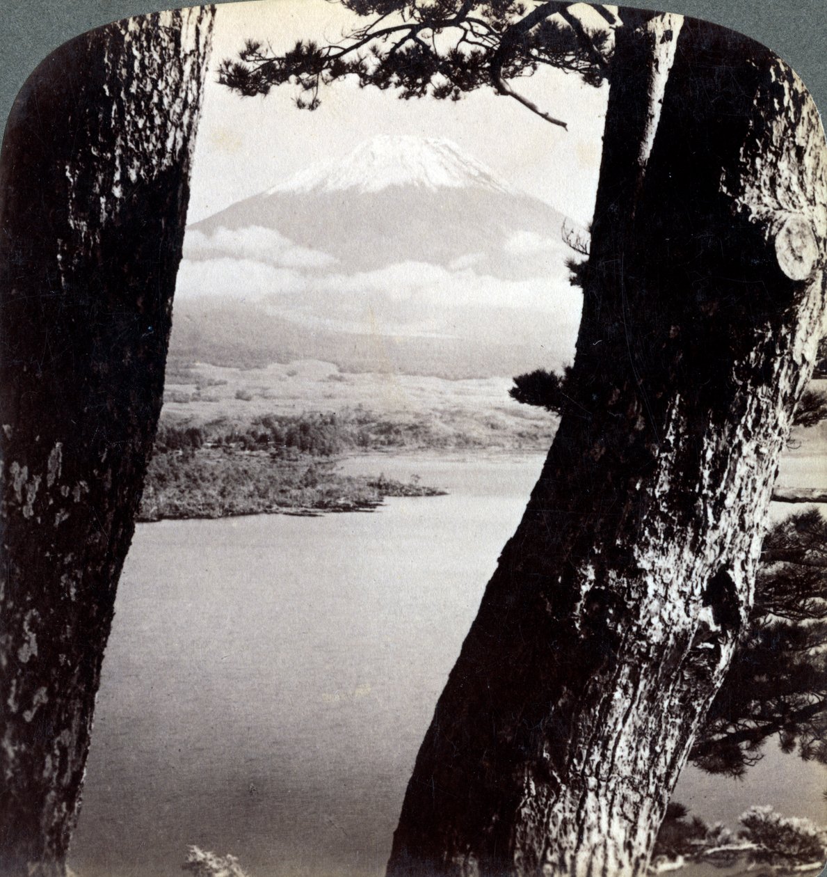 Mount Fuji, gezien vanuit het noordwesten, door dennen bij Lake Motosu, Japan, 1904 door Underwood and Underwood